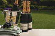 Laurent Perrier Brut Champagne