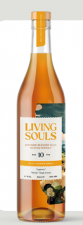 Living Souls Lagmore(Teaspooned Ballindalloch) 10 Years 48%