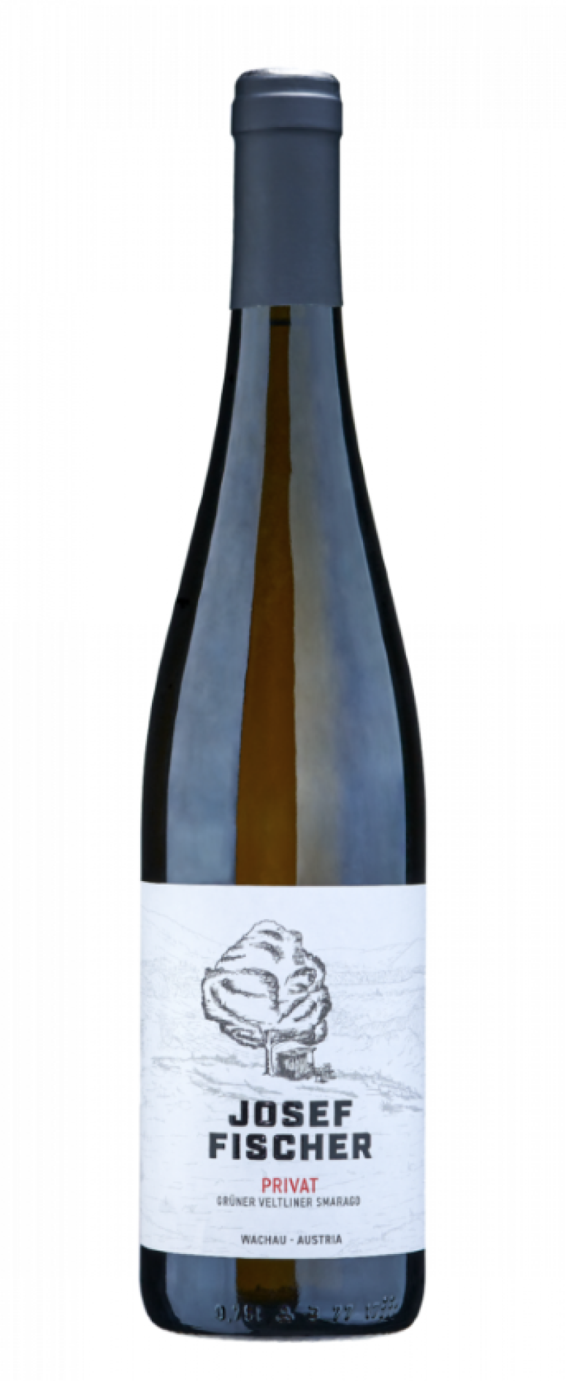 Josef Fischer Wachau Privat Grüner Veltliner